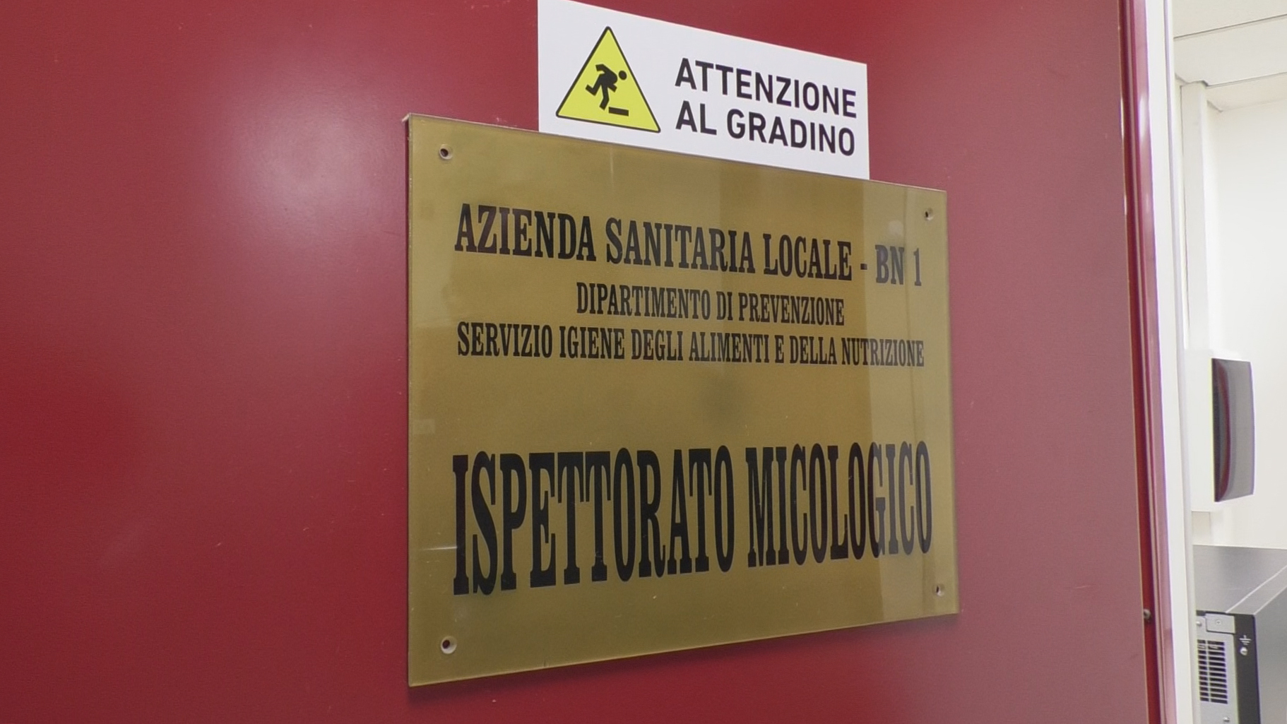 Benevento| Asl, Ispettorato micologico diventa centro di riferimento in Campania