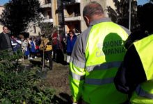 A Benevento celebrata la giornata dedicata all’Albero