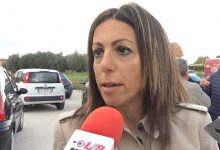 Benevento| Deiezioni canine, emanata ordinanza della Commissione Ambiente