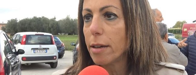 Benevento| Deiezioni canine, emanata ordinanza della Commissione Ambiente