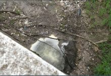 Benevento| Scarichi fognari: riunine tecnica Comune-Gesesa