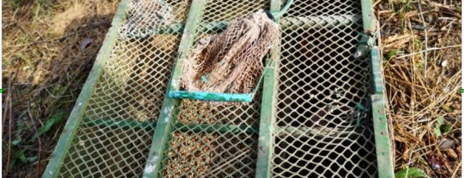 San Giorgio del Sannio| Controlli antibracconaggio, sequestri e denunce