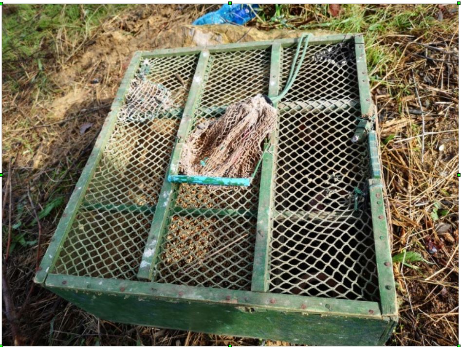 San Giorgio del Sannio| Controlli antibracconaggio, sequestri e denunce