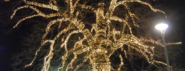Summonte| Natale nel Borgo incantato. Giuditta: “Puntiamo sulla promozione e sul turismo”