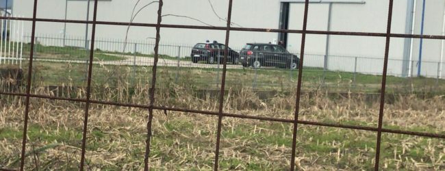 Airola| Tragedia ad Airola, 23enne trovato senza vita