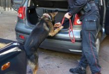 Nascondeva ordigno esplosivo artigianale e armi: Carabinieri arrestano 67enne