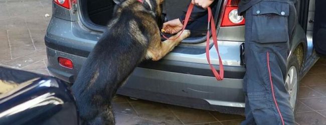 Nascondeva ordigno esplosivo artigianale e armi: Carabinieri arrestano 67enne