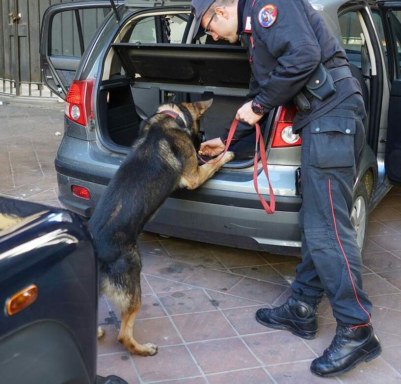 Nascondeva ordigno esplosivo artigianale e armi: Carabinieri arrestano 67enne