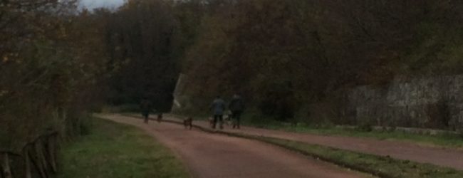 Benevento| La denuncia dell’ambientalista Picone : bracconieri nell’Oasi Zone Umide Beneventane