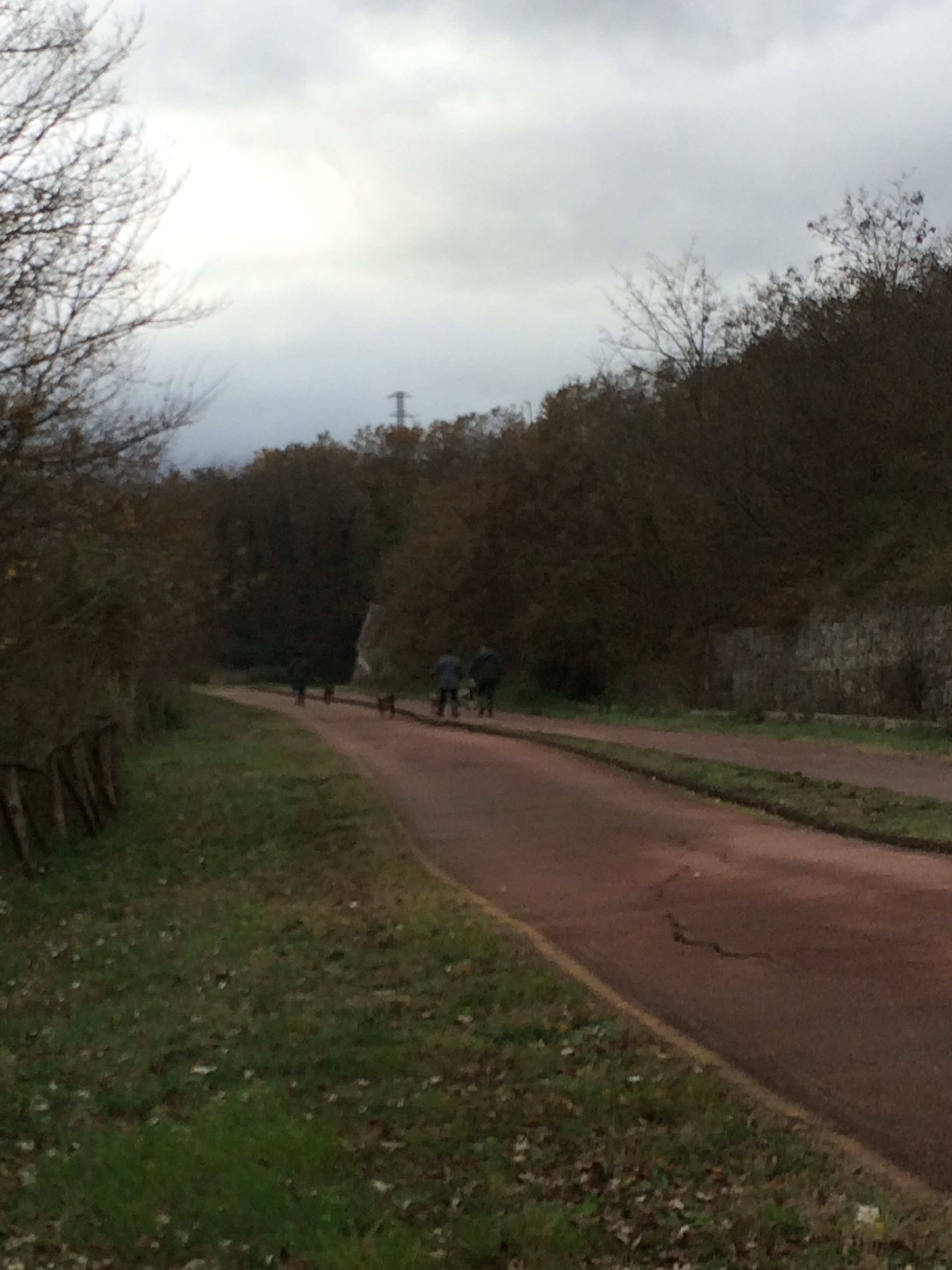 Benevento| La denuncia dell’ambientalista Picone : bracconieri nell’Oasi Zone Umide Beneventane
