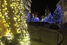 Benevento| I 72 abeti natalizi trovano una nuova collocazione