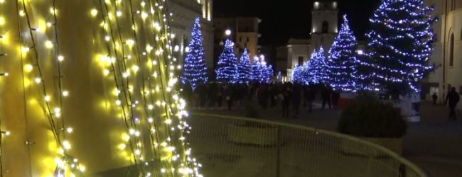 Benevento| I 72 abeti natalizi trovano una nuova collocazione