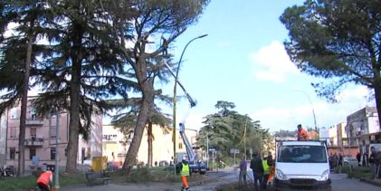 Divieto di sosta e fermata lungo viale Atlantici a partire da domani e nei soli giorni e ore di messa a dimora di nuovi alberi