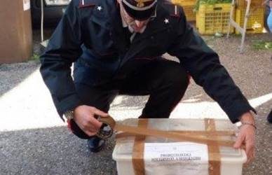 In prossimità delle festività natalizie i Carabinieri Forestali intensificano nel Sannio i controlli nella filiera agroalimentare
