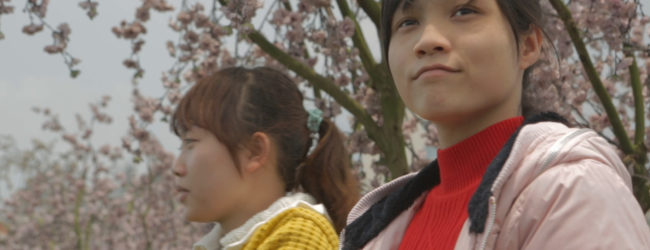 Avellino| Laceno D’Oro, tra proiezioni e mostre domani si entra nel vivo