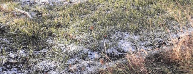 Primi fiocchi di neve ricoprono le zone interne di Sannio e Irpinia