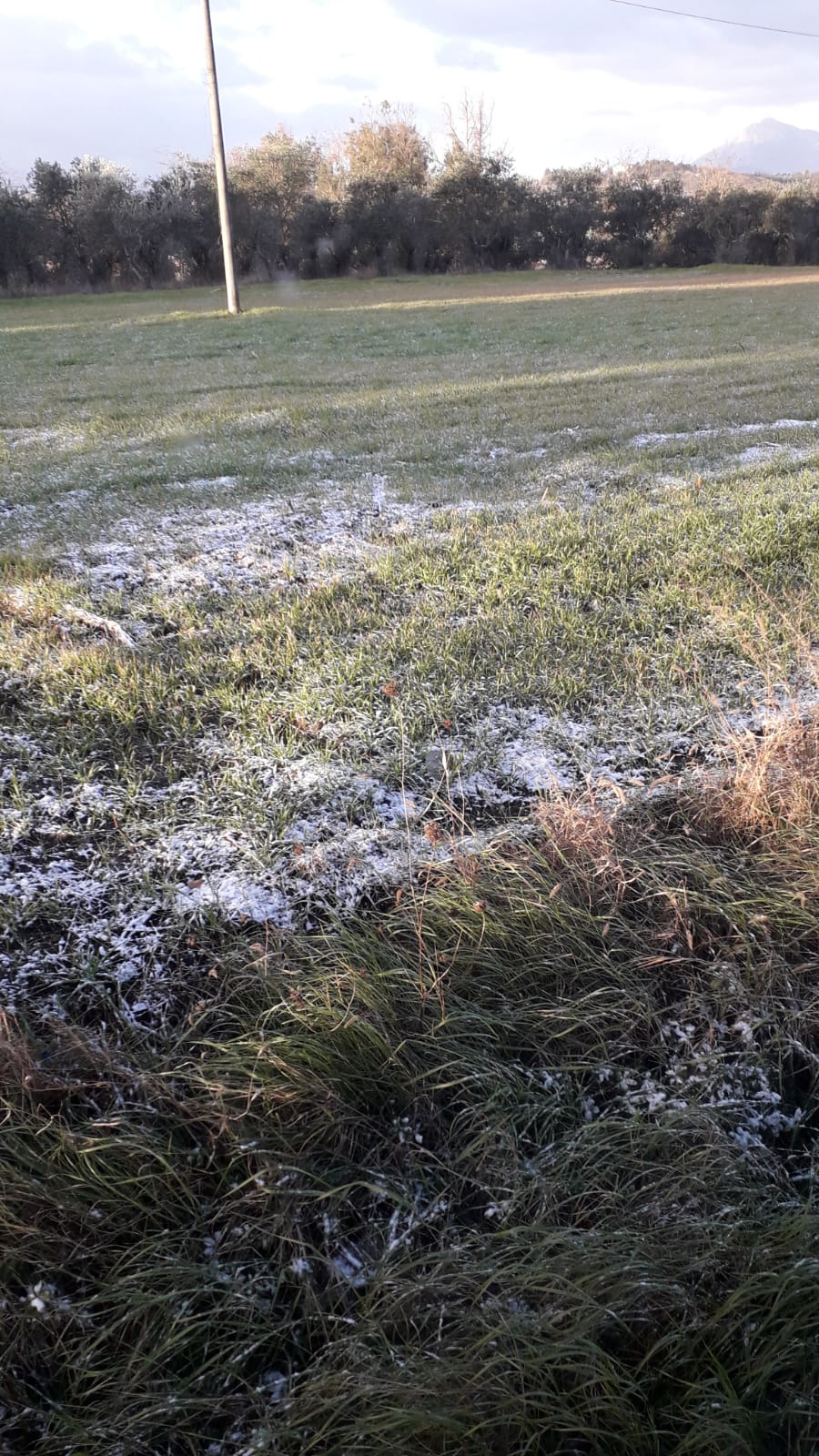 Primi fiocchi di neve ricoprono le zone interne di Sannio e Irpinia