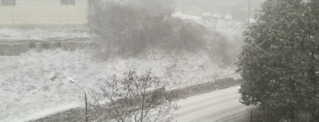 Nevica in Valfortore/FOTO
