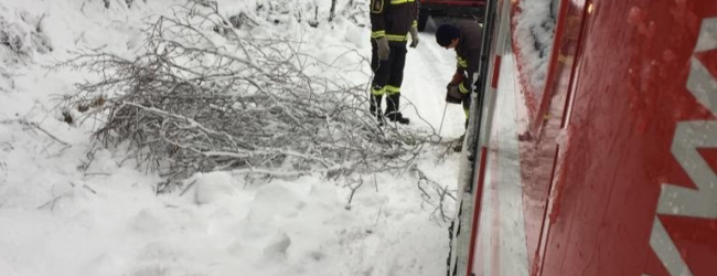 Alta Irpina| Tir fuori strada e rami caduti per la neve, super lavoro per i vigili del fuoco