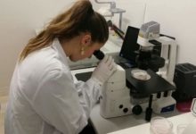 Avellino| Ricercatrice irpina chiamata alla Washington University di St. Louis