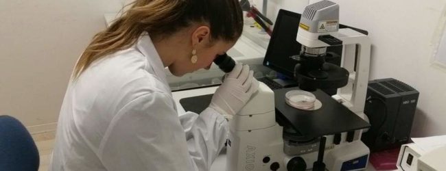 Avellino| Ricercatrice irpina chiamata alla Washington University di St. Louis