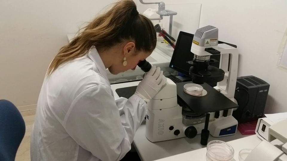 Avellino| Ricercatrice irpina chiamata alla Washington University di St. Louis