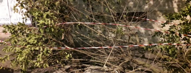 Benevento| Maltempo:sindaco dispone chiusura delle strutture