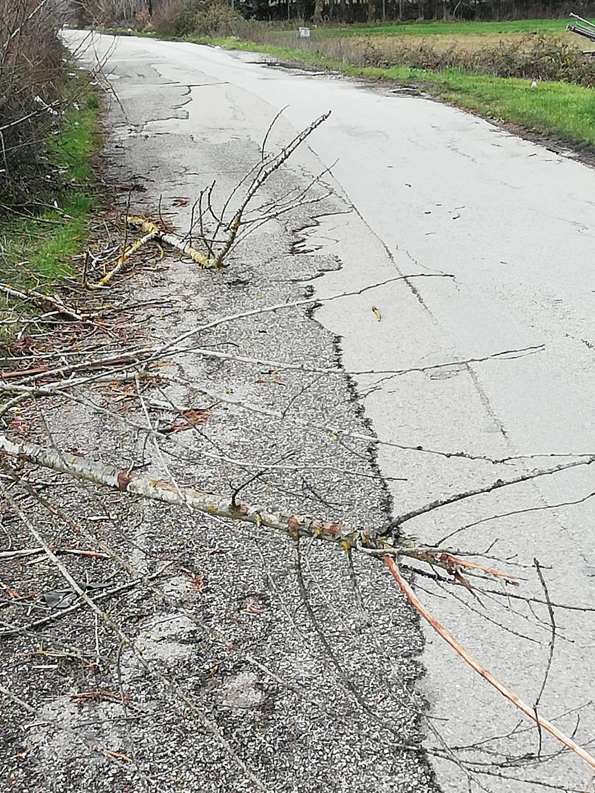 Benevento| Via dei Mercuri in abbandono, la protesta degli abitanti