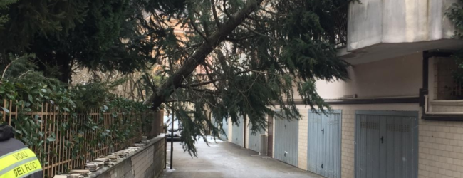 Irpinia|Vento e neve, disagi in tutta la provincia. Decine di interventi dei vigili del fuoco