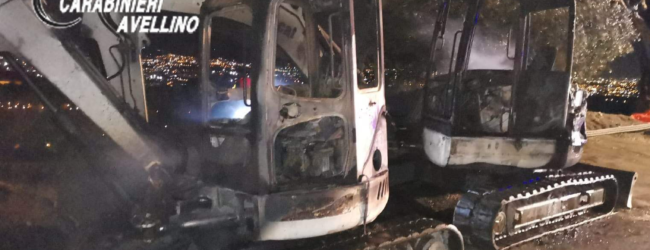 domicella| Due bobcat in fimme nel piazzale di un ristorante, indagini dei carabinieri