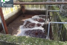 Benevento| Carabinieri Forestali sequestrano scarico abusivo in mattatoio