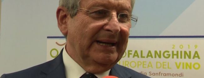 Vino indifferenziato, Floriano Panza: ” Iperproduzione di Falanghina non sorretta dalla crescita di quote di mercato”
