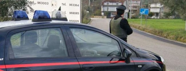 Montemiletto| Cattura un cane e lo impicca con un filo di nylon