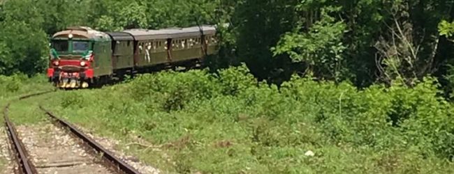 L’8 marzo parte “un treno per l’Irpinia”, un viaggio tra Avellino, Lapio e Lioni