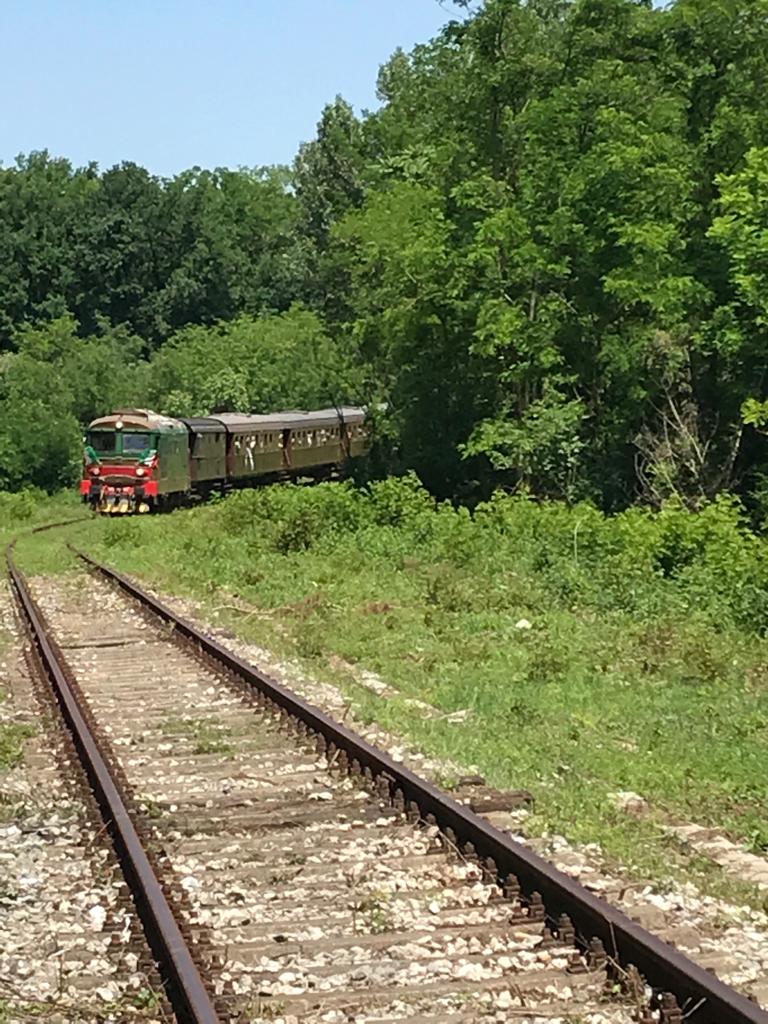 L’8 marzo parte “un treno per l’Irpinia”, un viaggio tra Avellino, Lapio e Lioni