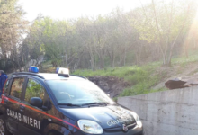 Capriglia| Trovato impiccato a un albero 23enne del Senegal, indagano i carabinieri