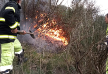 Moschiano| Bruciano rifiuti vegetali e provocano un incendio nel bosco: denunciati 2 uomini