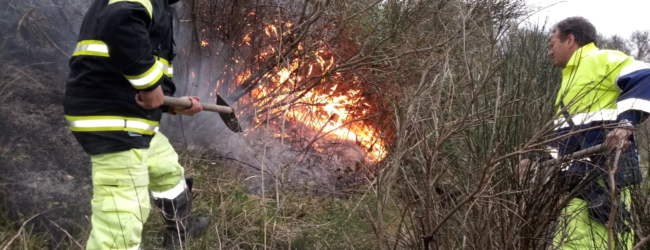 Moschiano| Bruciano rifiuti vegetali e provocano un incendio nel bosco: denunciati 2 uomini