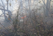 Incendi di vaste proporzioni a Summonte e Volturara, chiesto il Canadair