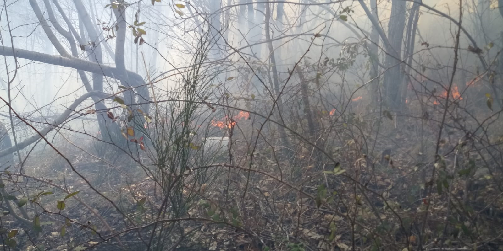 Incendi di vaste proporzioni a Summonte e Volturara, chiesto il Canadair