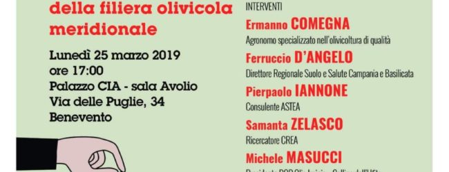 Benevento| Filera olivicola,alla Cia convegno con il Sottosegretario Pesce
