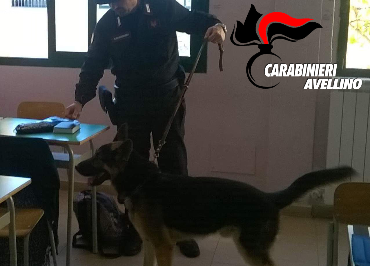 Avellino| Marijuana a scuola, la scoperta durante i controlli in un istituto superiore