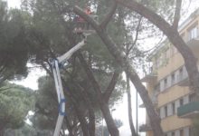 Pini marittimi ed altro: assemblea pubblica del comitato di quartiere Cappuccini/Atlantici/Mellusi