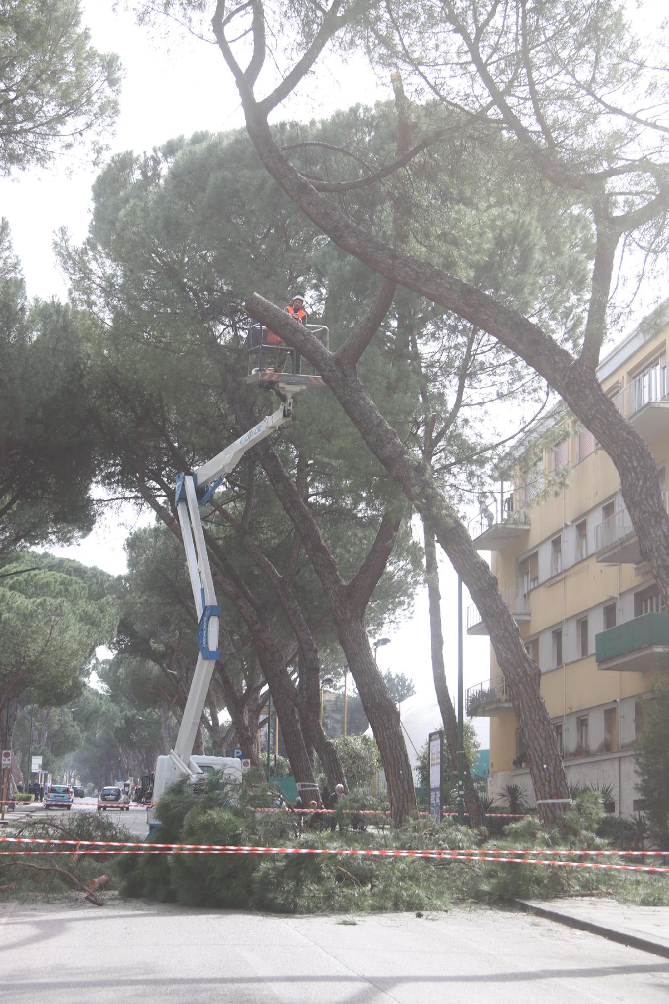 Pini marittimi ed altro: assemblea pubblica del comitato di quartiere Cappuccini/Atlantici/Mellusi