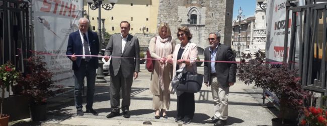 Al via “Benevento in fiore”, tra colori della natura e..pollice verde