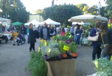 Torna “Benevento in Fiore”, terza edizione dal 17 al 19 maggio