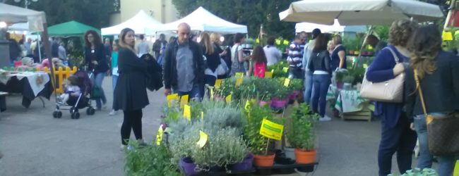 Torna “Benevento in Fiore”, terza edizione dal 17 al 19 maggio
