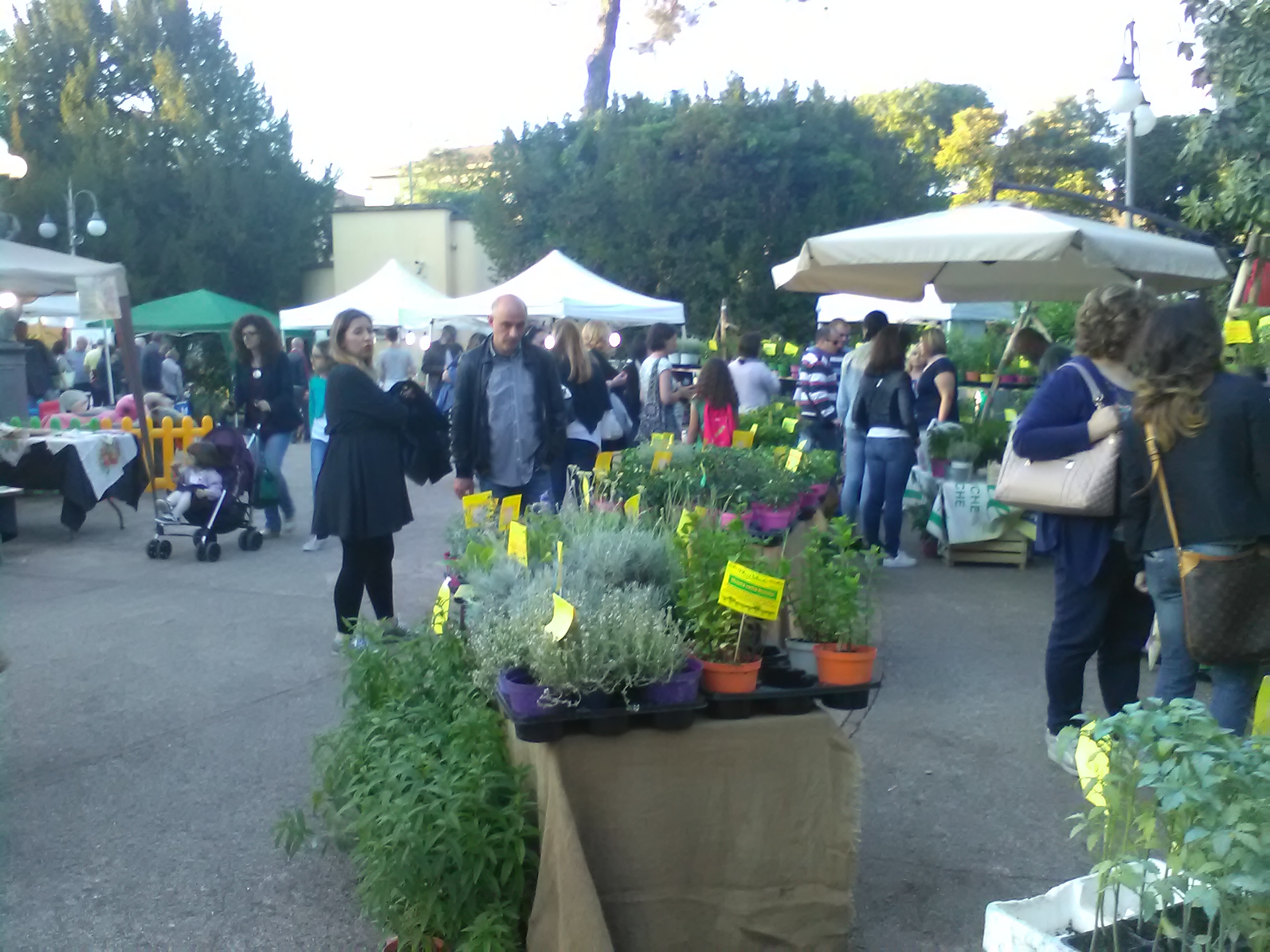 Torna “Benevento in Fiore”, terza edizione dal 17 al 19 maggio