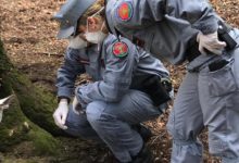 Parco regionale del Taburno: i Carabinieri forestali di Airola e Montesarchio rivengono carcassa avvelenata