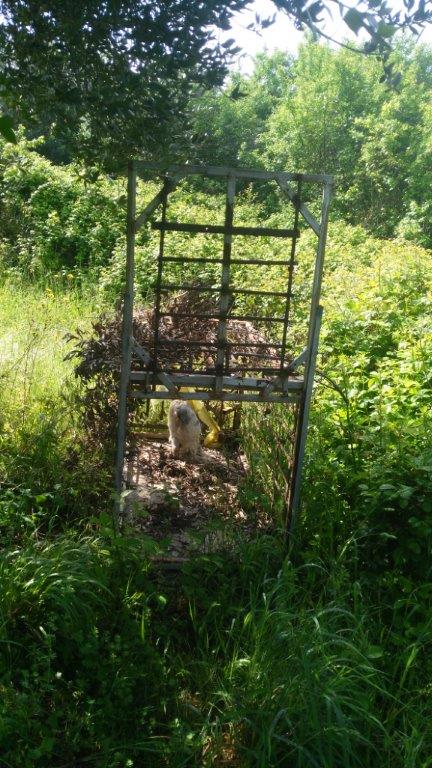 Benevento| I Carabinieri forestali sequestrano trappola per fauna selvatica